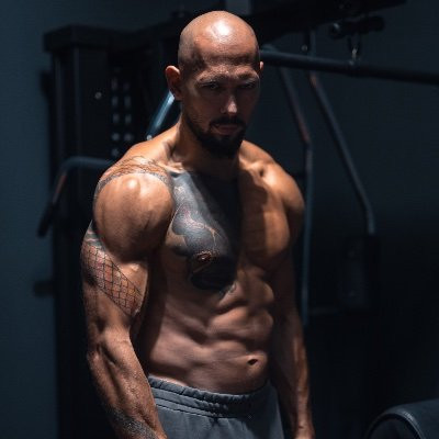 Andrew Tate Profile Picture