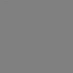 Shawn  Peters Profile Picture