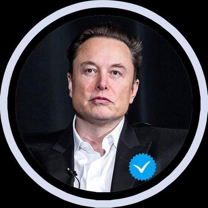 Elon Musk Profile Picture